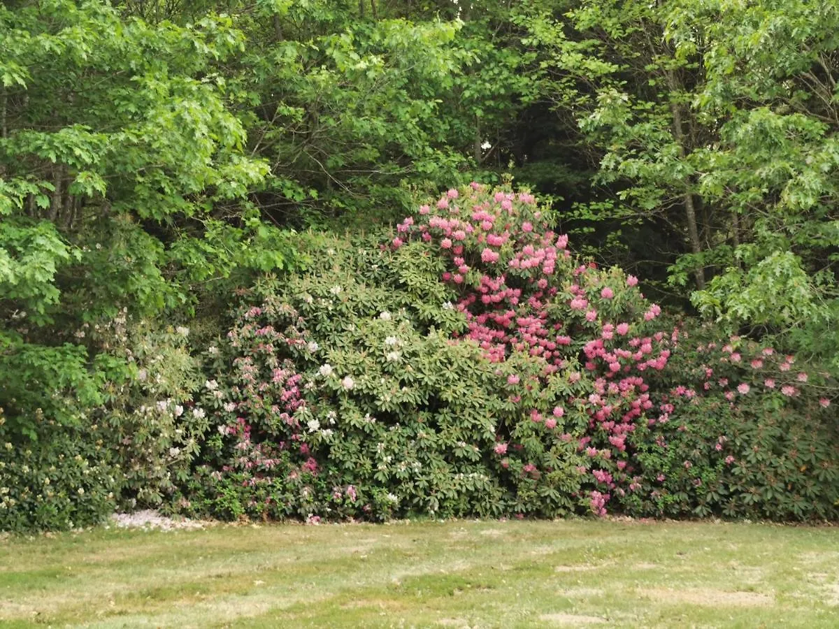 Chateau De Launay Guen Hotel Plemet