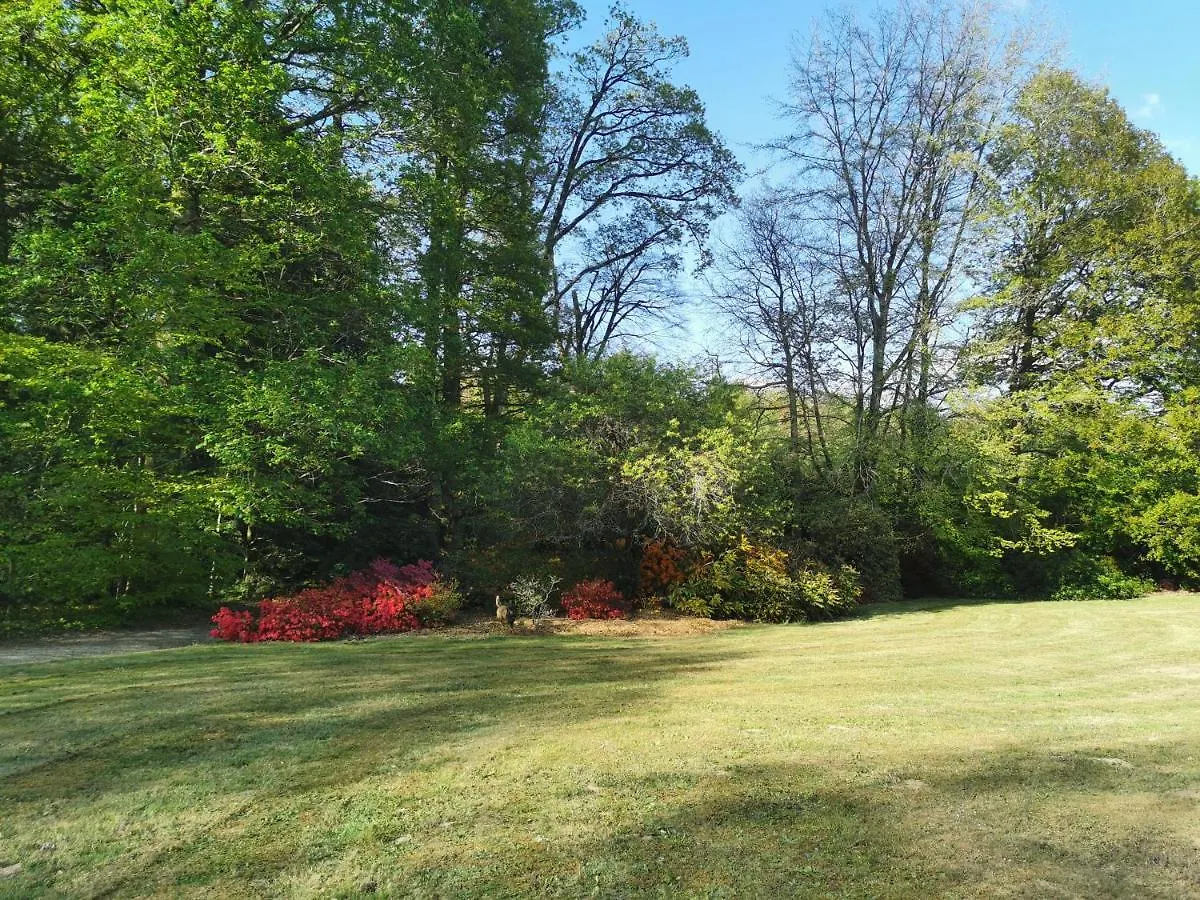 Guest house Chateau De Launay Guen Hotel Plemet France